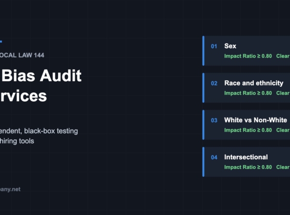 AI bias audit services cover showing four bias checks: sex, race and ethnicity, White versus Non-White, and intersectional
